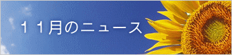 １１月のニュース 