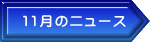 11月のニュース